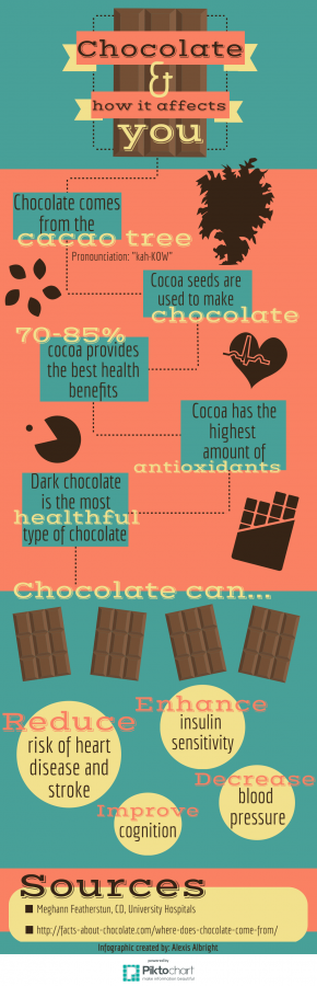 Chocolate Infographic