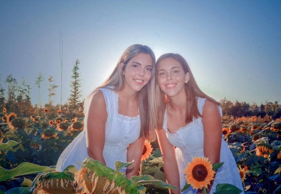 Senior identical twins Allison and Julia Laudato capture a moment in the Prayers from Maria sunflower field in Avon. Although they may look similar, they have different future paths. (Photo courtesy of Pauline Dierkens)