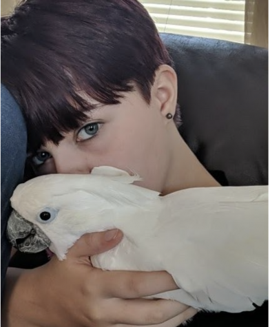 Freshman Jayy Whited cares for Peatrie, a white Umbrella Cockatoo.